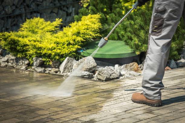 Best Dumpster Area Cleaning  in Dixon, CA
