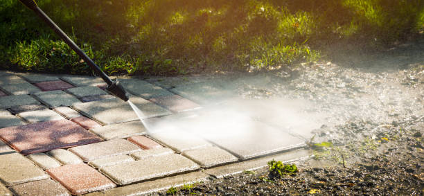 Best Solar Panel Cleaning  in Dixon, CA